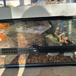 20 Gallon Exoterra Opening ReptileTerranium  All Included 