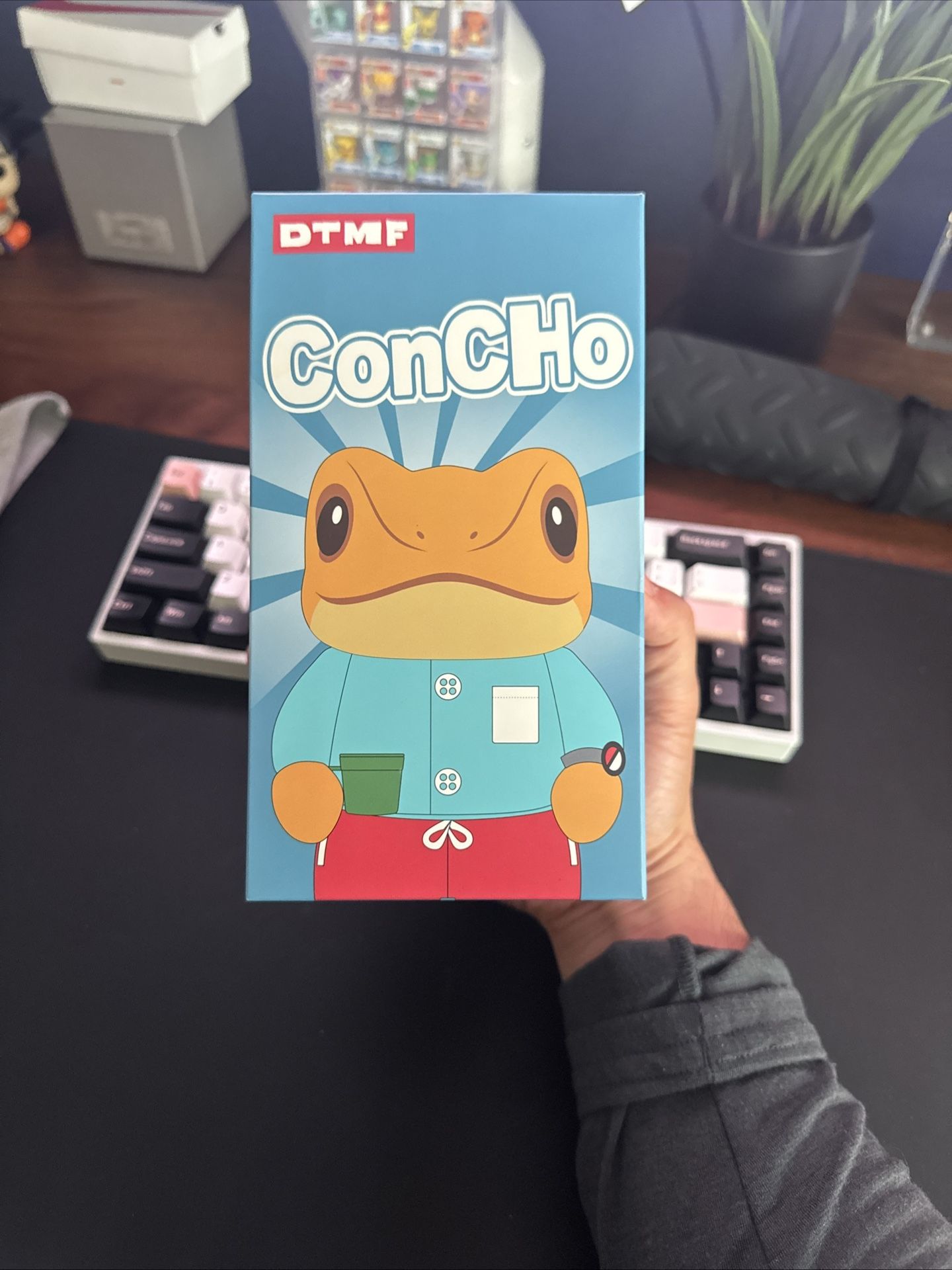 Bad Bunny Residencia x El Sapo Concho Plush DTMF UNOPENED Sealed