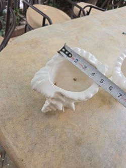 Sea Shell Pots/vases 28