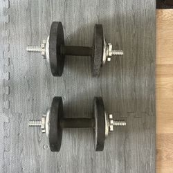 Dumbbell Handles with Weights