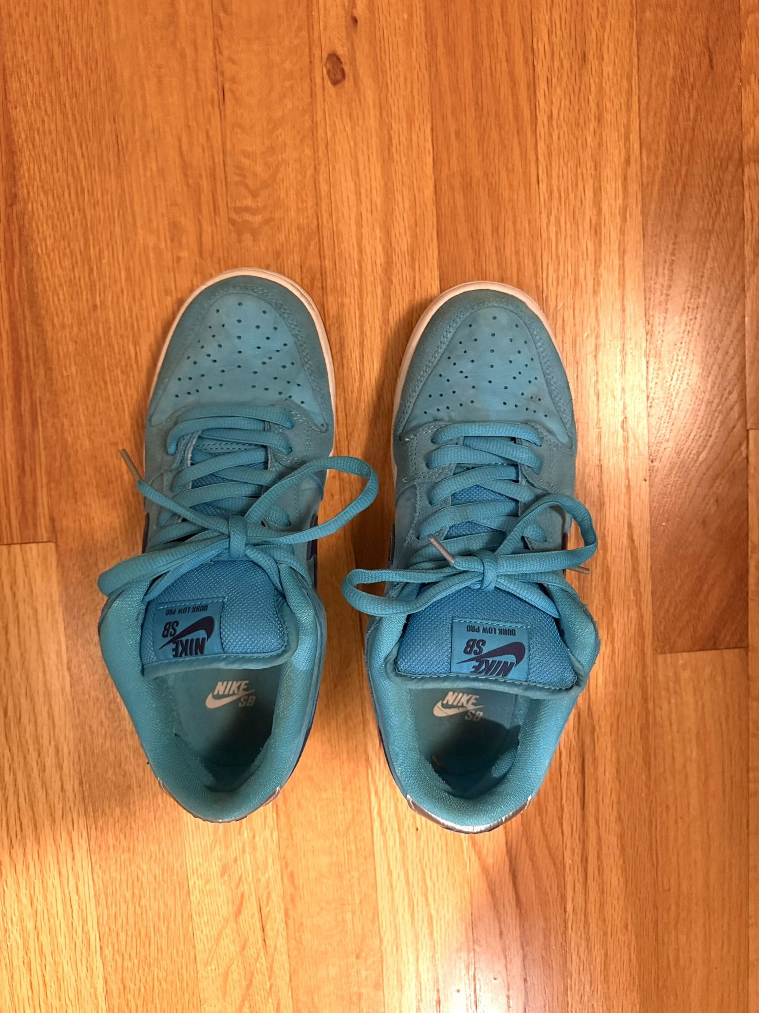 Nike SB Dunk Blue Fury