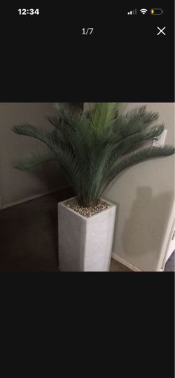 Large Artificial Palm Tree with White Planter