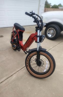 New Buzz E-Bike