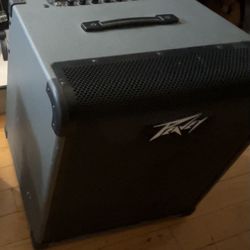 Peavey Max 300