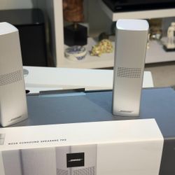 Bose Surround Sound Speakers 