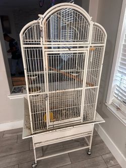 Bird cage