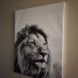 Lion Canvas