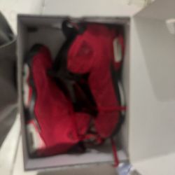 jordan 6 toro