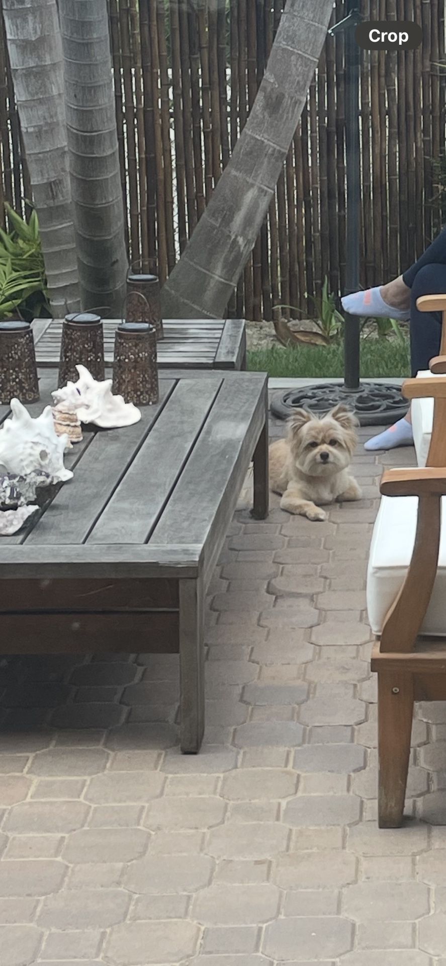 Outdoor Teak Patio Table