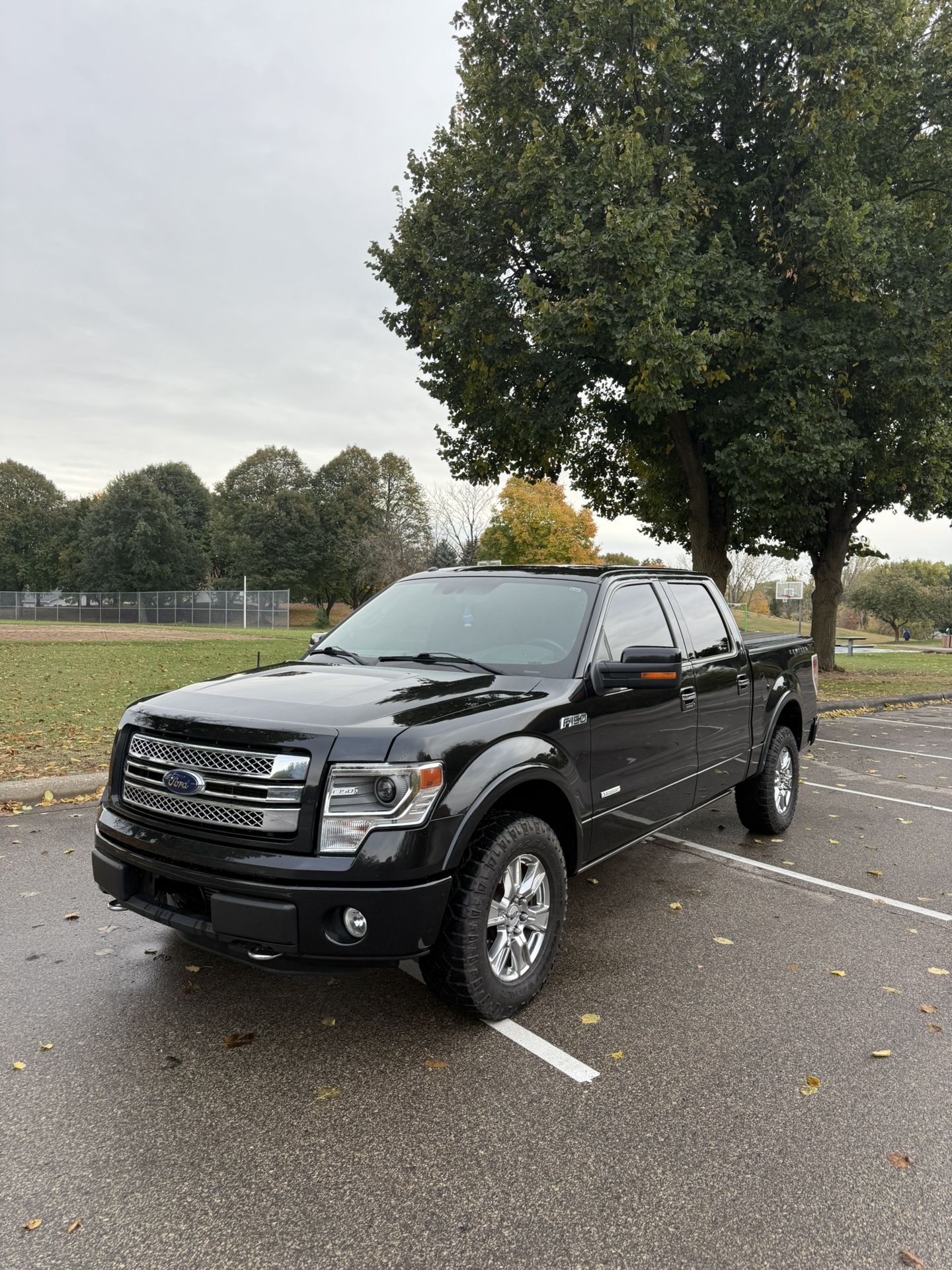 2013 Ford F-150