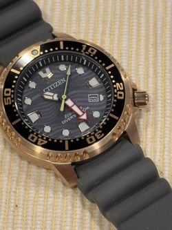 Citizens Pro Dive Watch