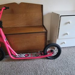 Mongoose Scooter.