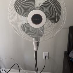 Fan