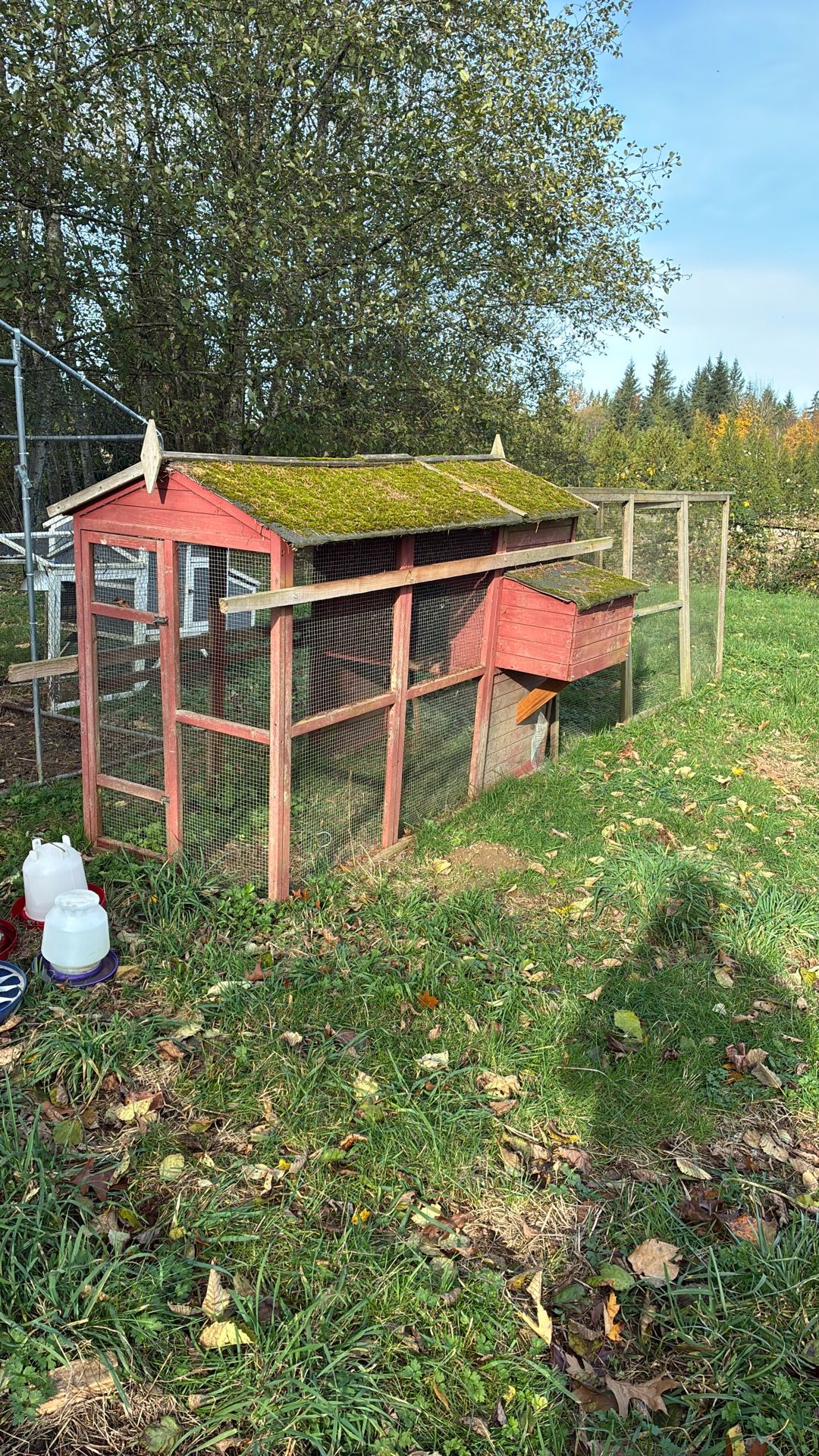 Chicken Coop