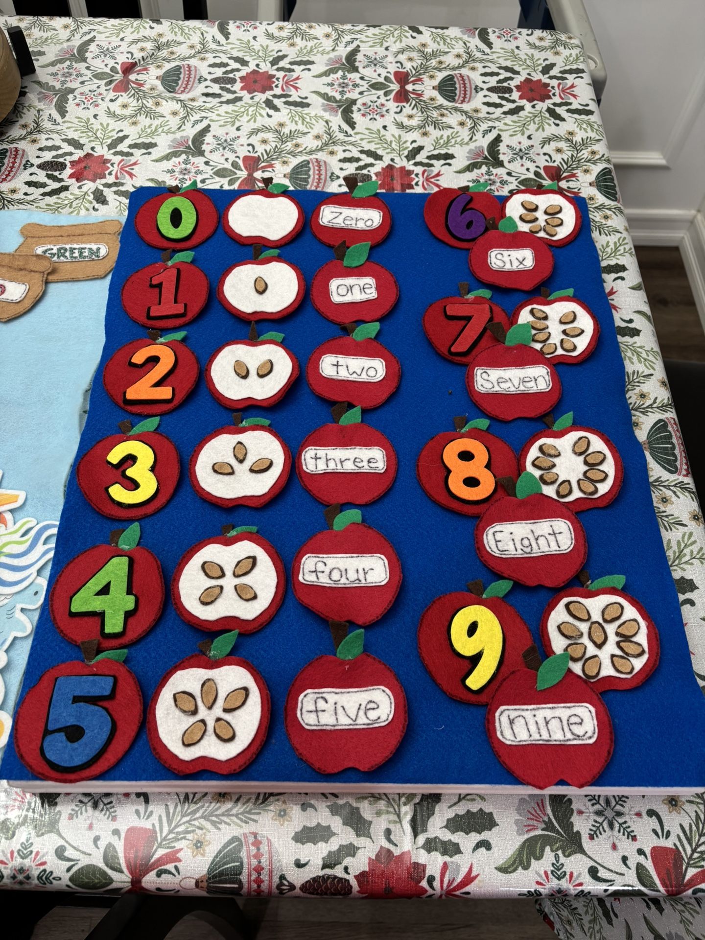 Educational - Felt Board w/ Velcro felt Scenes