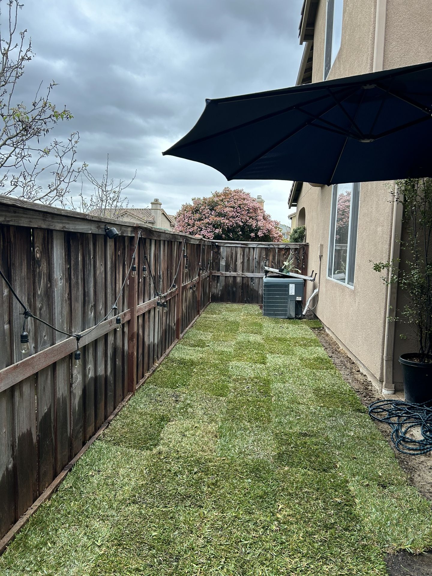 St. Agustine Sod Installation 