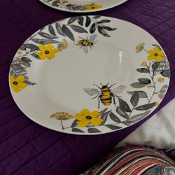 2 DECORATIVE PLATES