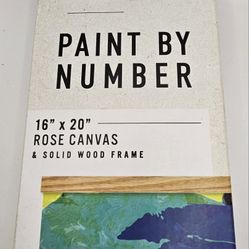 Paint By Number Kit. New