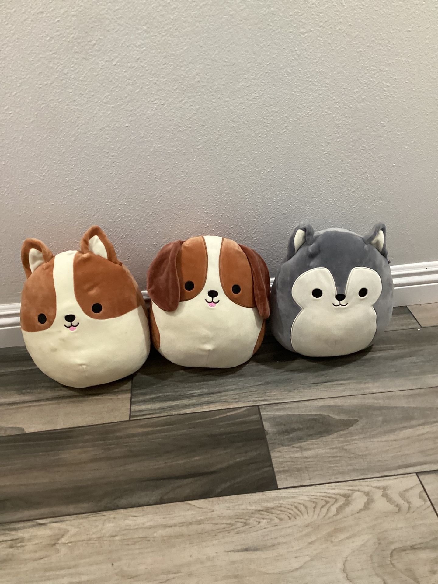 3 Pack Squishmallow Dog Set