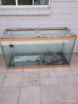 95 gallon fishtank