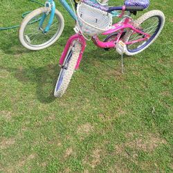 2 20" Schwinn Kids Bikes (recently serviced) ($40 each)
