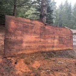 HUGE massive Redwood Live Edge Slab. Free Delivery Tomorrow Only!!55” Wide X 12.5 Ft Long X 3” Thick