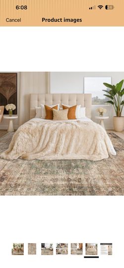 Carpet/ Area rug