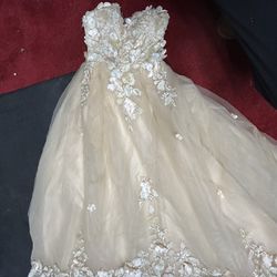 quinceañera dress