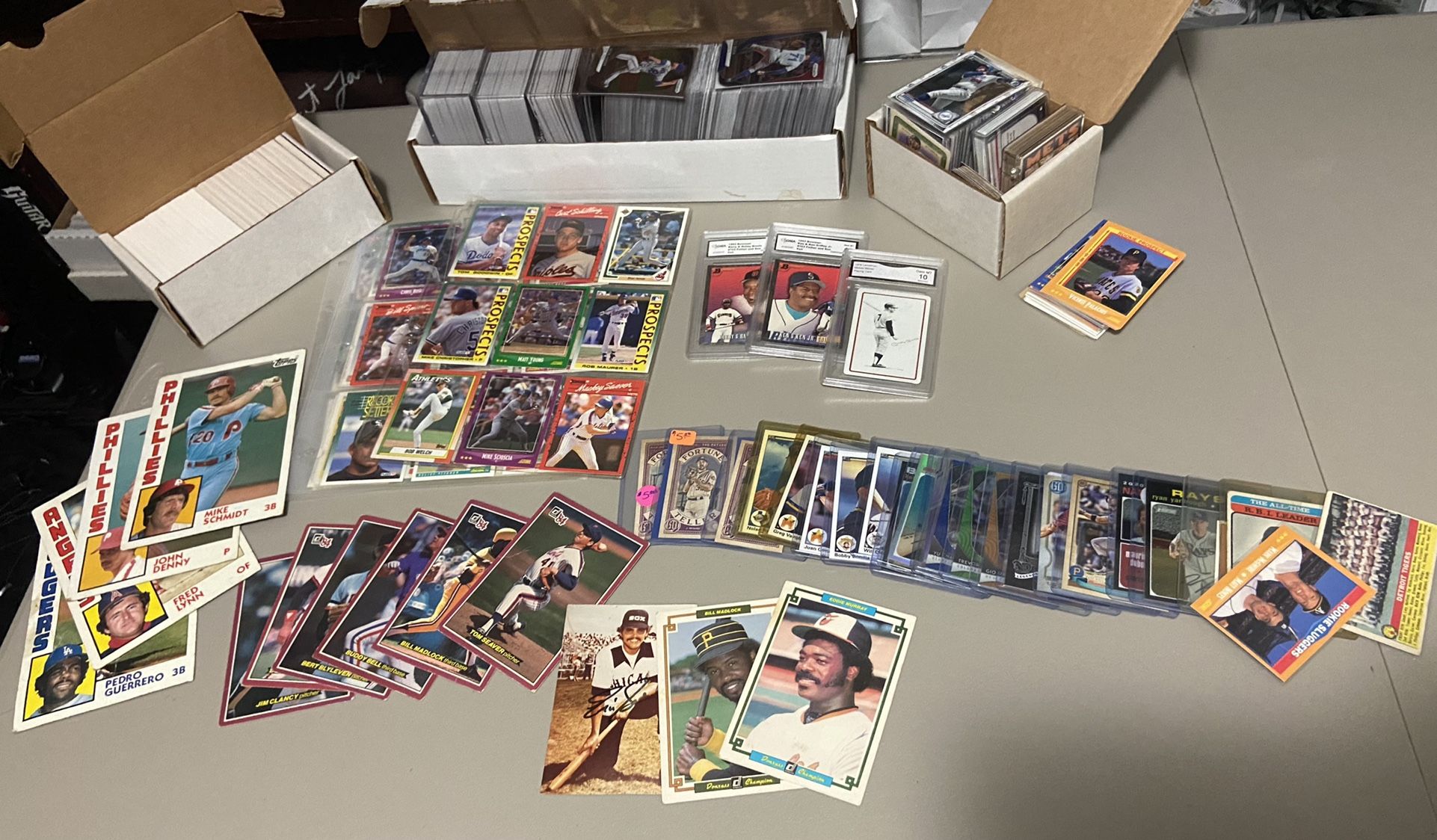 MLB Baseball Sports Cards Collection