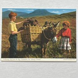 Unposted Postcard Collecting Turf From The Bog Ireland