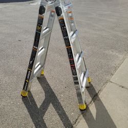 14ft Aluminum Gorilla Ladders 