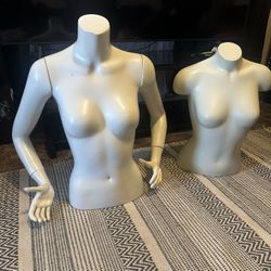 Female Mannequin and Mannequin Torso