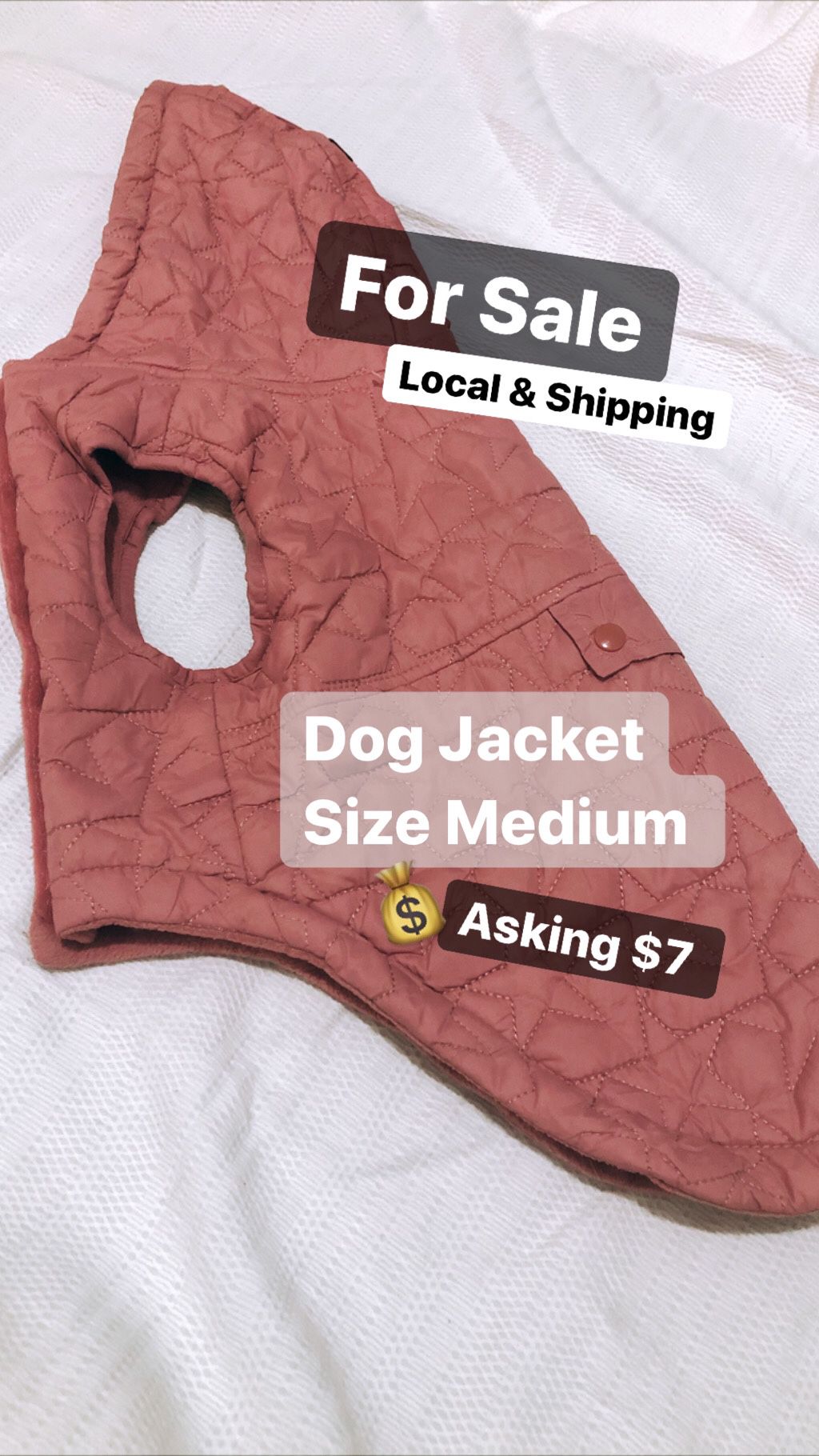 Pink Dog Jacket 🐶 🧥 MEDIUM