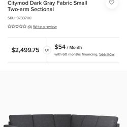 Couch, Purchased Two Months Ago 