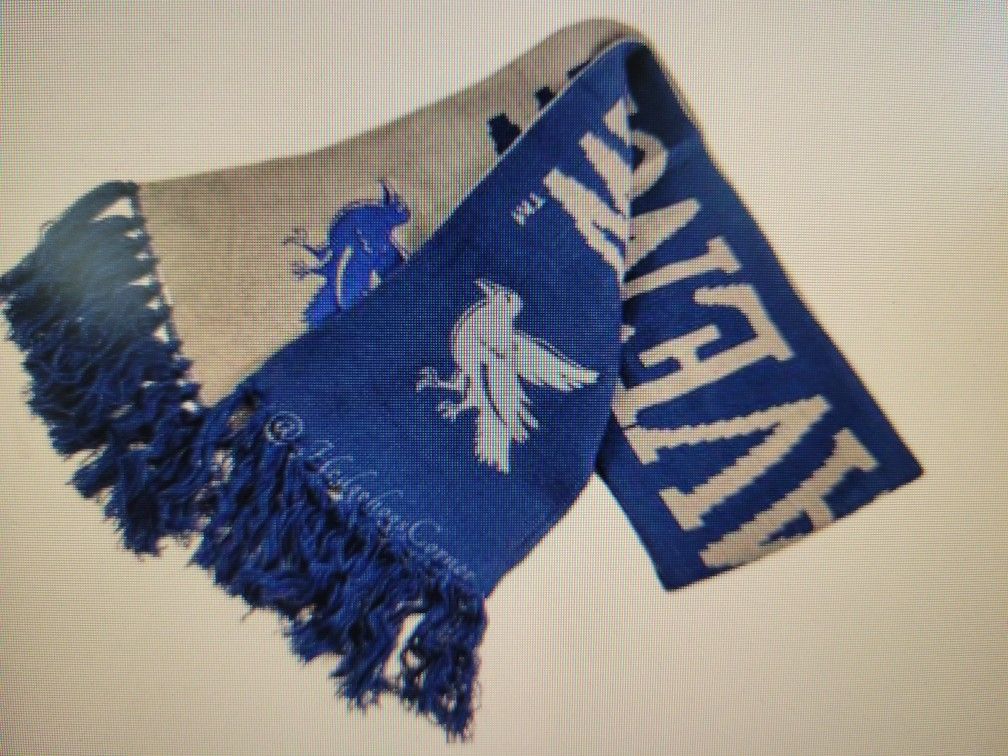 Harry Potter Ravenclaw Reversible Scarf