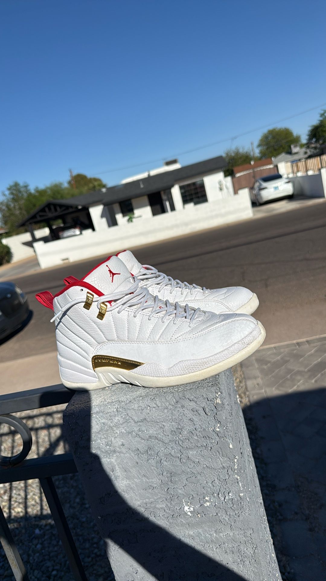 Jordan 12 Chinese New Year Edition