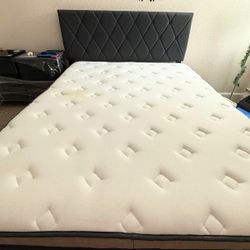 Queen Mattress (14” Firm) + Bed Frame
