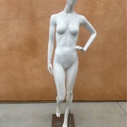 Manikin 