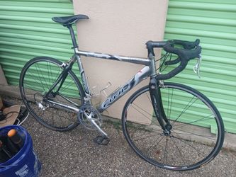 Fuji Team Pro Road Bike