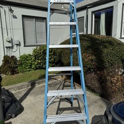 Werner 8ft. Ladder 