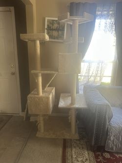 Cat Tower 