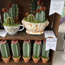 DIY Paper Cactus Kit