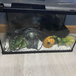 Fish Tank And Decor