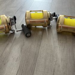 Shimano Tiagra 50W LRS Fishing reels