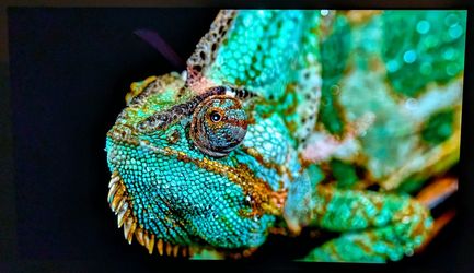 65-inch LG OLED C3 - Low Power Hours
