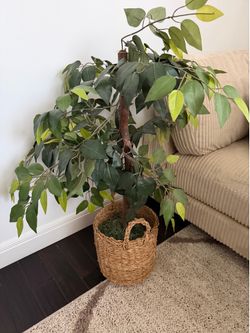 artificial plant
