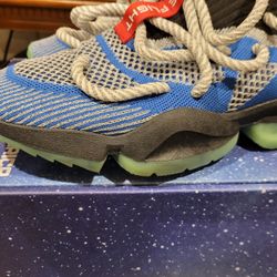 Puma SIA CV0.02 NASA