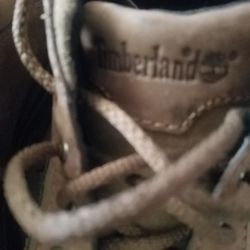 Timberland New Unisex Shoes