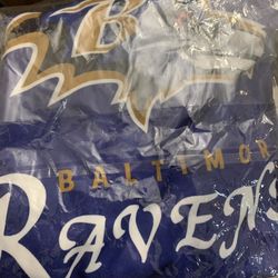 Baltimore ravens Adult Medium Shirt