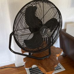 Fan